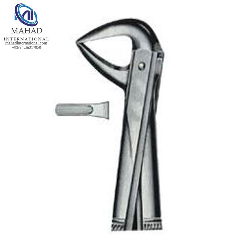 Lower Incisors And Roots